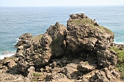 IMG_2664.JPG
