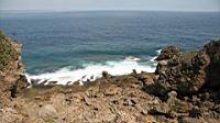 IMG_2666.JPG