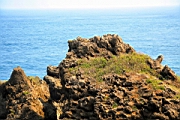 IMG_2667.JPG