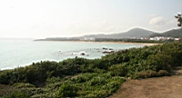 IMG_2678.JPG