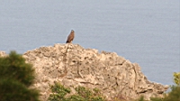 IMG_2691.JPG