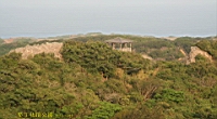 IMG_2694.JPG