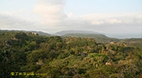 IMG_2699.JPG