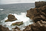IMG_2767.JPG
