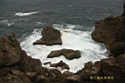 IMG_2769.JPG
