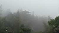 DSC00364.JPG