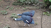 DSC00366.JPG