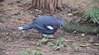 DSC00367.JPG
