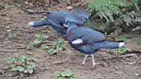 DSC00368.JPG