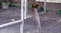 DSC00378.JPG