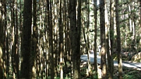 DSC00393.JPG