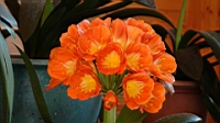 DSC00398.JPG
