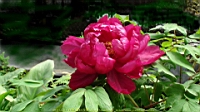 DSC00410.JPG
