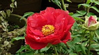 DSC00418.JPG