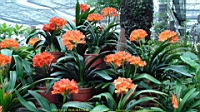 DSC00450.JPG