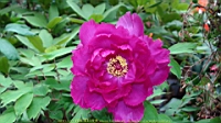 DSC00478.JPG