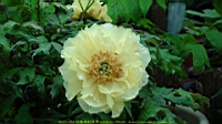 DSC00480.JPG