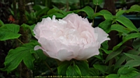 DSC00481.JPG