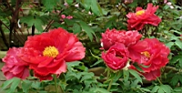 DSC00515.JPG