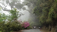 DSC00630.JPG