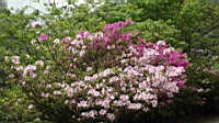 DSC00632.JPG