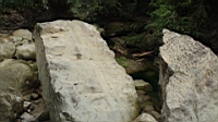 DSC00635.JPG