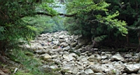 DSC00662.JPG