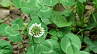 DSC00683.JPG
