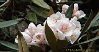 DSC00690.JPG