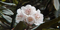 DSC00691.JPG