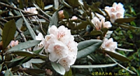 DSC00693.JPG