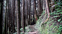DSC00710.JPG