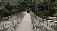 DSC00719.JPG