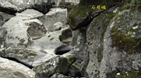 DSC00721.JPG