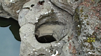 DSC00722.JPG