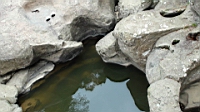 DSC00723.JPG