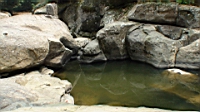 DSC00727.JPG