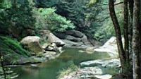 DSC00728.JPG