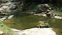 DSC00730.JPG