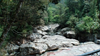 DSC00735.JPG