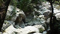 DSC00736.JPG