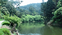DSC00740.JPG
