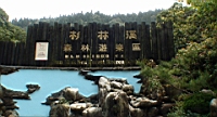 DSC00741.JPG