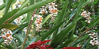 IMG_0247.JPG