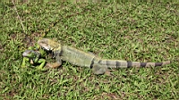 IMG_0282.JPG