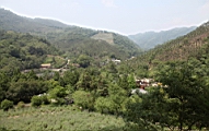 IMG_0300.JPG