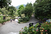 IMG_0318.JPG