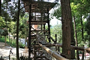 IMG_0416.JPG