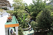 IMG_0591.JPG
