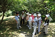 IMG_0604.JPG